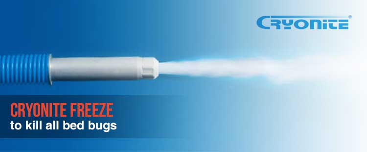 Denver Bed Bug Removal